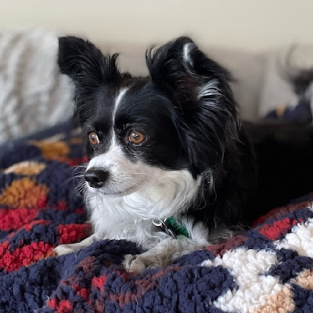 Meet your Posher, Gerardo